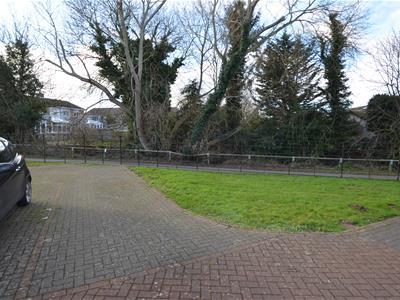 Picture 16